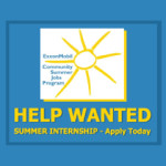 2010 Undergraduate Summer Internship