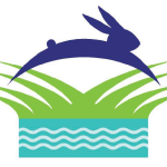 What's In Your Basket? Bunnies On the Bayou Apr 20
