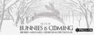 Snow Bunnies Banner