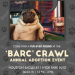 BARC Crawl Annual Adoption Event